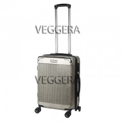 Suitcase Cabin Hard R.c.m PC8031/20 Microcircular (silver)